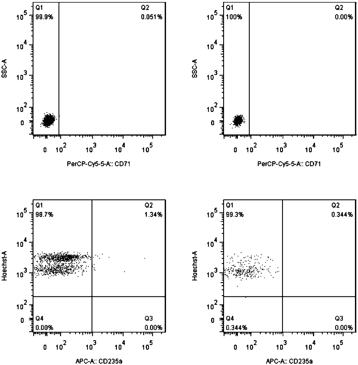 Method and preparation for preparing mature erythrocytes in vitro through peripheral blood