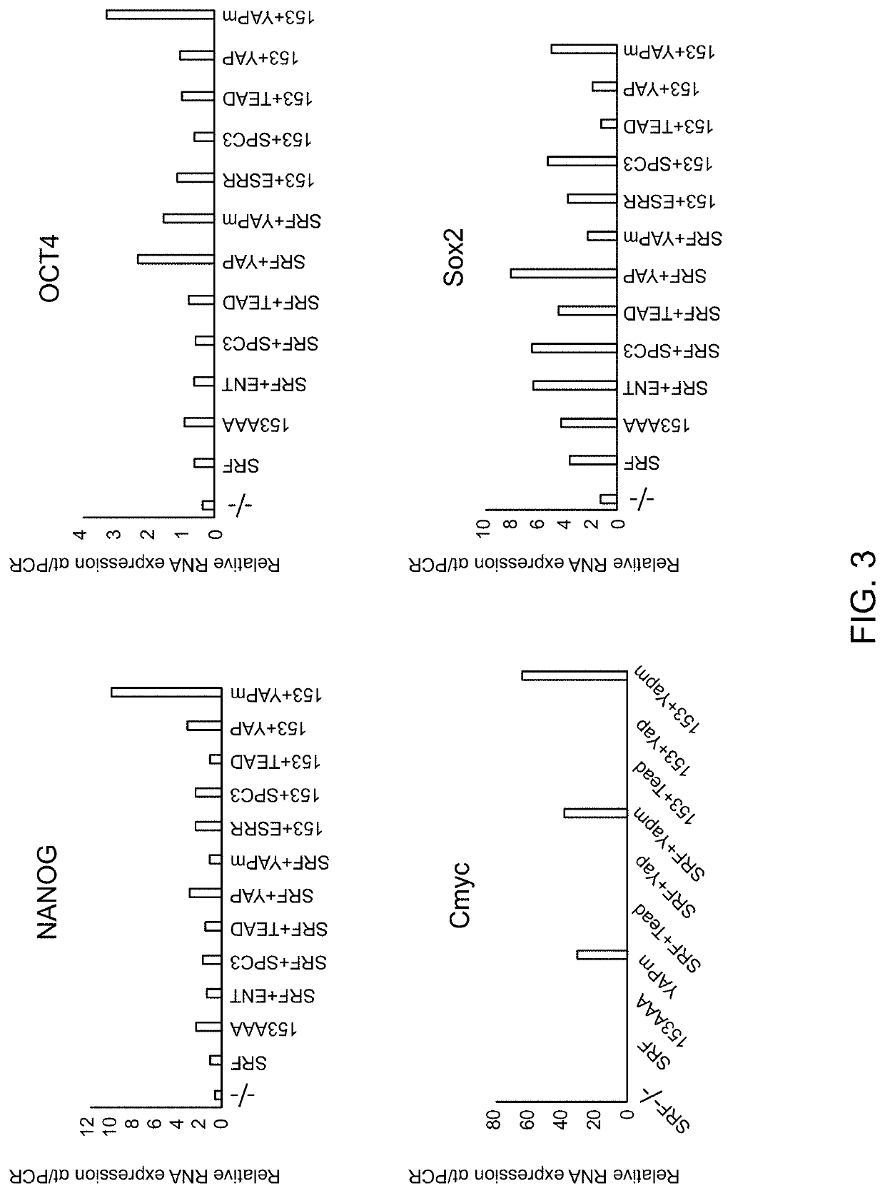 Enhanced cardiomyocyte regeneration