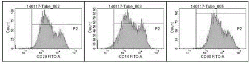 Stem cell composite collagen scaffold kit used for repairing endometrial damage, and preparation method thereof