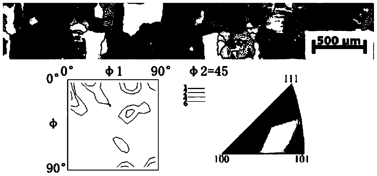 Method for preparing non-oriented electrical steel with {100} textured columnar crystal structure through original structure hot rolling method