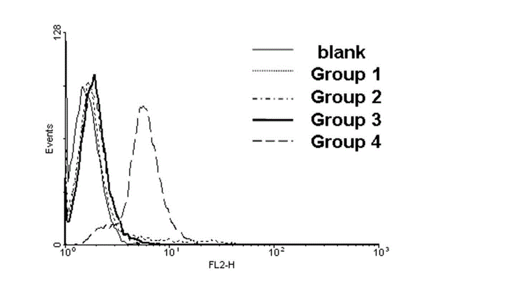 Biotin derivative of phenylephrine and preparation method and application thereof