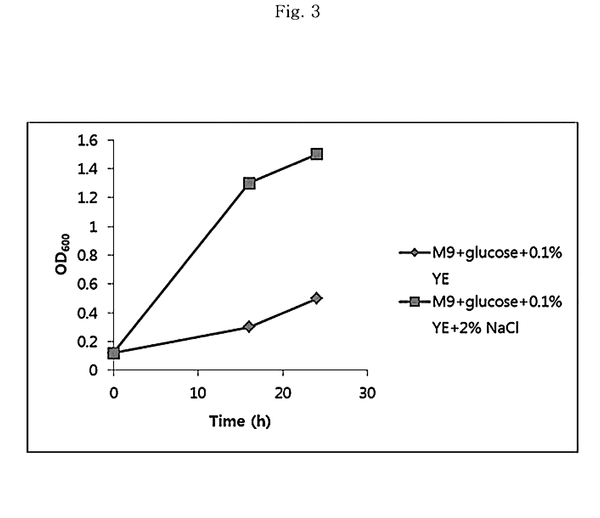 Paenibacillus sp. caa11 capable of saccharification and fermentation of cellulose and transformed strain thereof