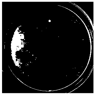 Atrazine degrading bacterium and application thereof