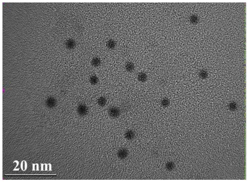 Preparation method and application of beer-based nitrogen-phosphorus co-doped biomass carbon dots