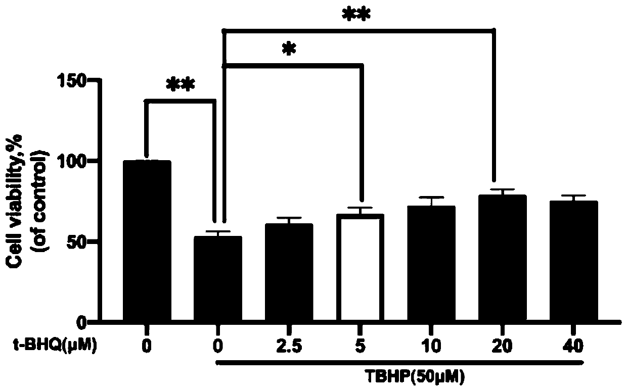 Application of tert-butyl hydroquinone and drug for treating intervertebral disc degeneration