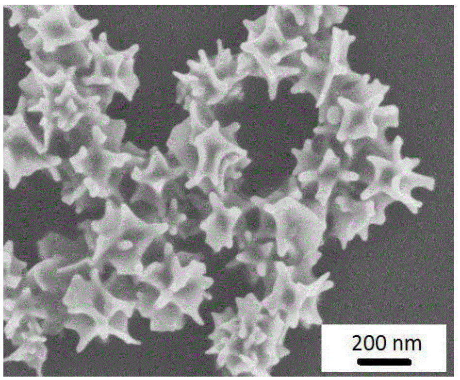 Multifunctional nanoprobe for targeting SERS (surface enhanced Raman scattering) imaging of tumor cells and preparation method thereof