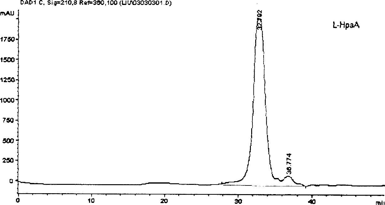 Constructing genetic engineering Vaccine of adhesin of confluent Helicobacter pylor and preparation method