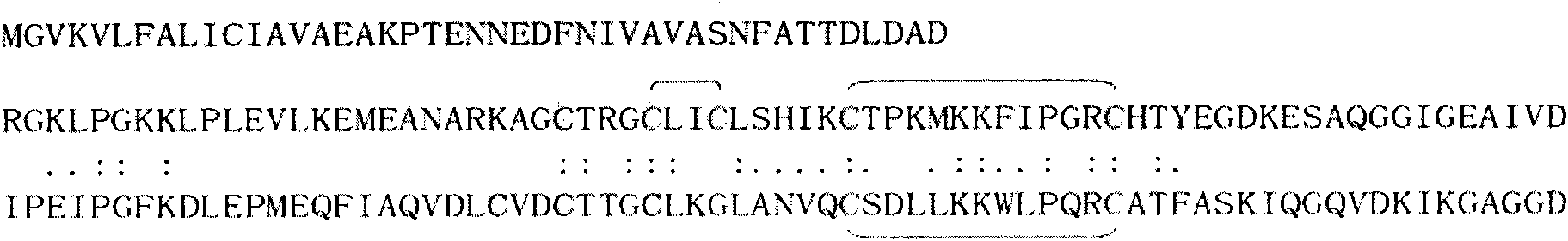 Luciferase active fragment and application thereof