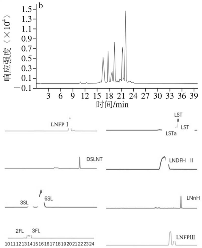 Method for detecting oligosaccharide in breast milk