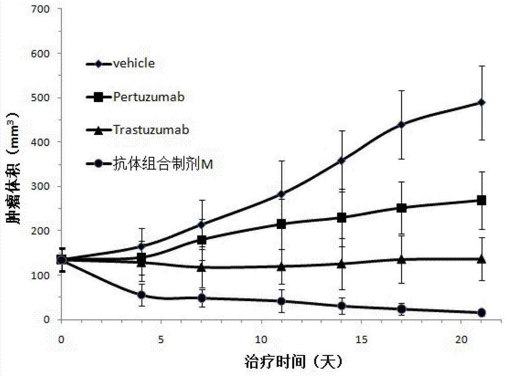 Antibody composition preparation and application thereof