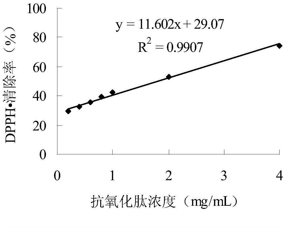 Jerk filefish skin collagen antioxidative peptide and preparation method thereof