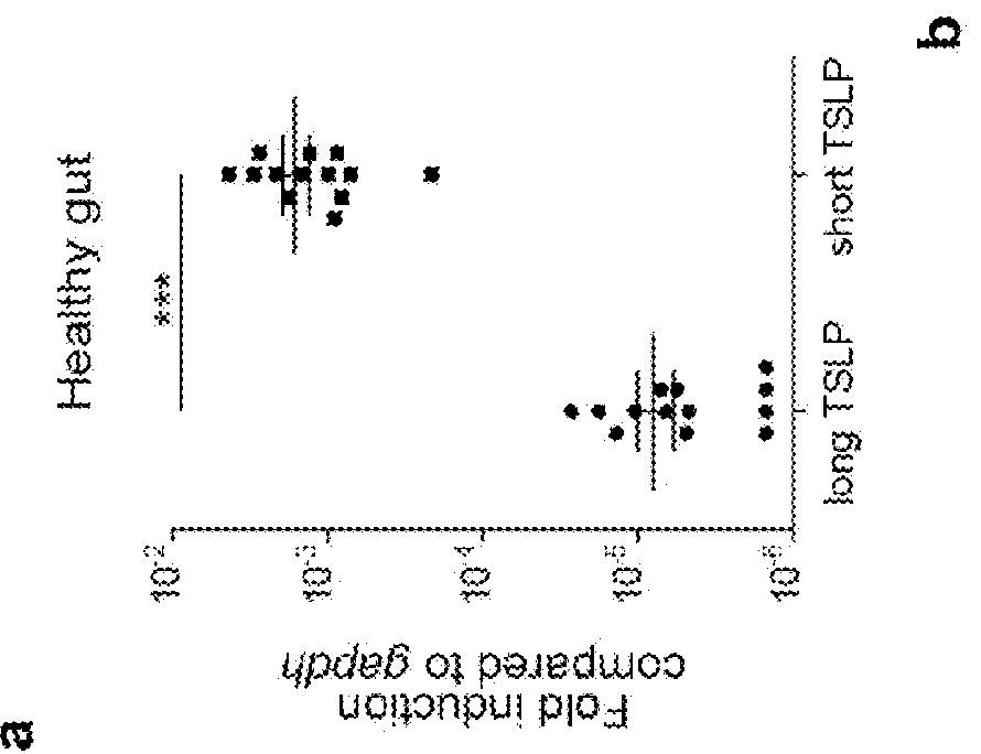 Thymic stromal lymphopoietin fragments and uses thereof