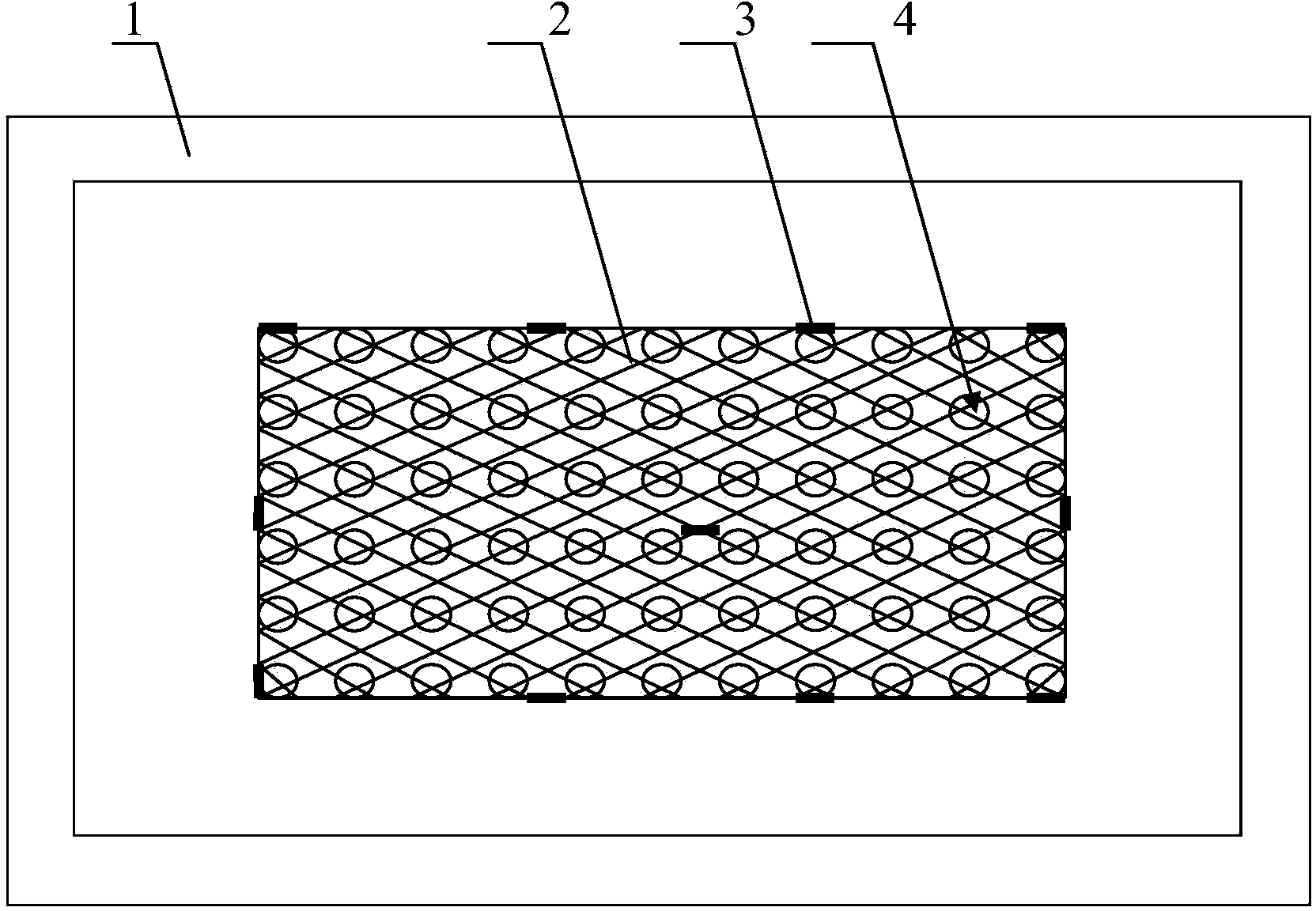 Actinomyces Israeli production technology, Actinomyces Israeli preparation and Actinomyces Israeli production apparatus