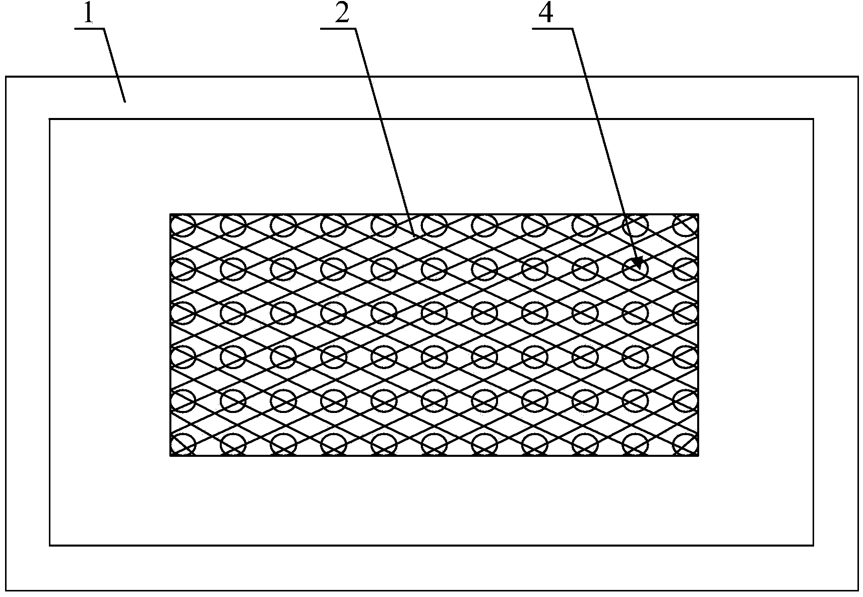 Actinomyces Israeli production technology, Actinomyces Israeli preparation and Actinomyces Israeli production apparatus