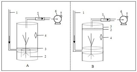 Device and monitoring method for in-situ research on ammonia exchange in crop canopy