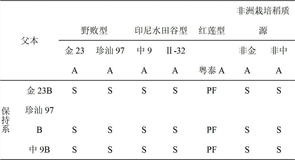 Seed selection method of oryza glaberrima cytoplasmic male sterile line