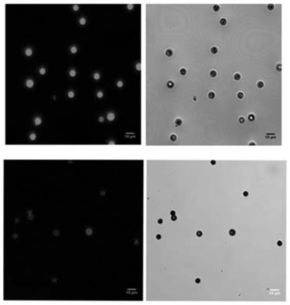 Table of Materials/Methods for the Covalent Immobilization of Bioactive Factors by Photogenerated Aldehyde/Kone Groups at the Interface