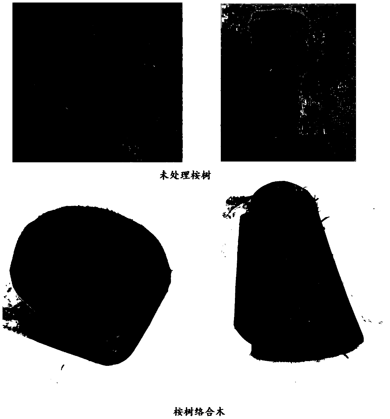 Preparation method of complex wood material