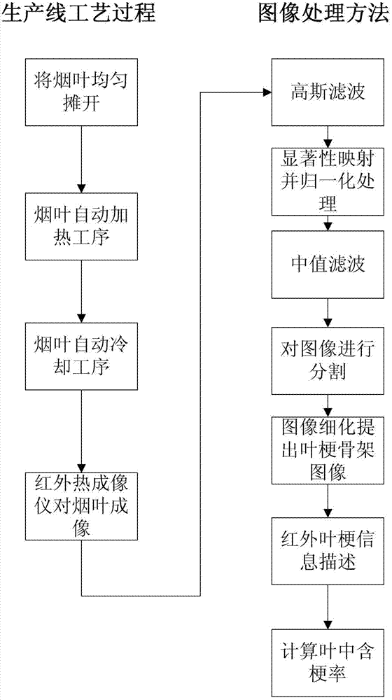 Stem content in leaf infrared imaging detection method based on active heating