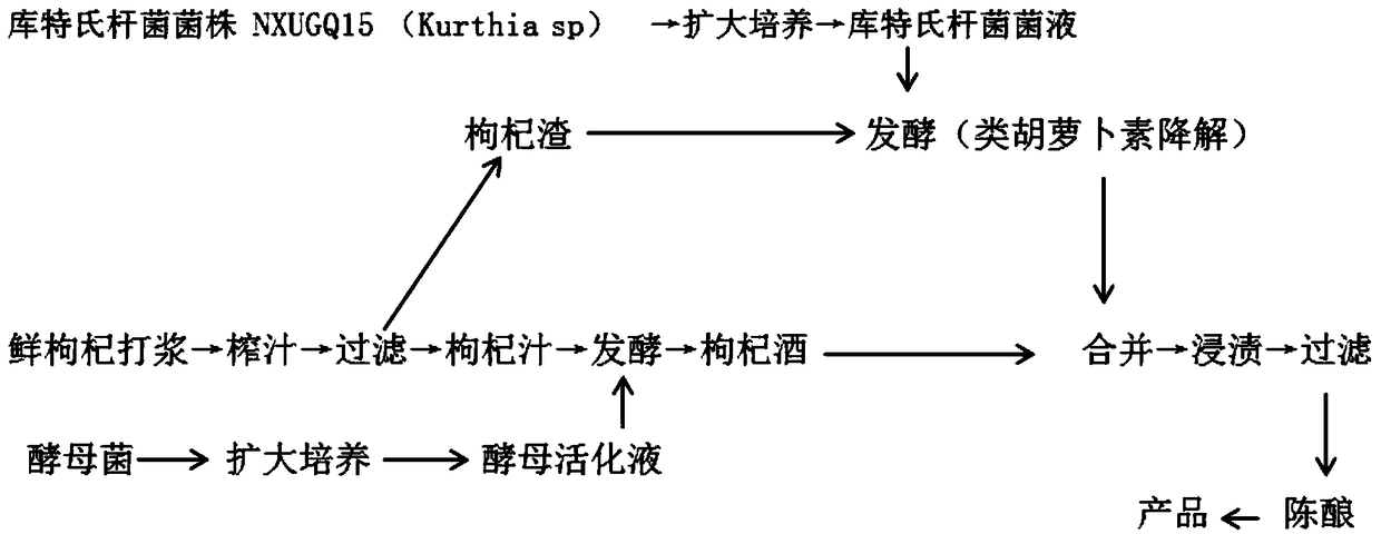 Method for increasing aroma of fermented fructus lycii wine