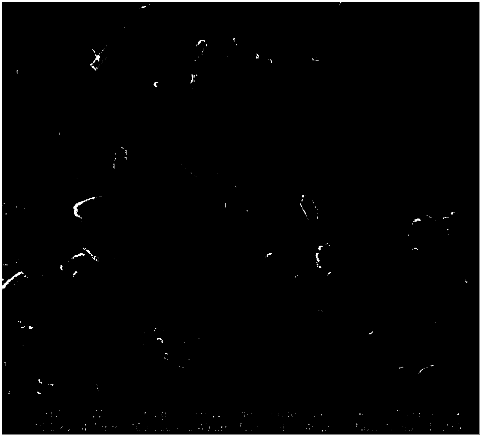 Method of preparing lithium battery vanadate positive materials by utilizing hydrothermal method