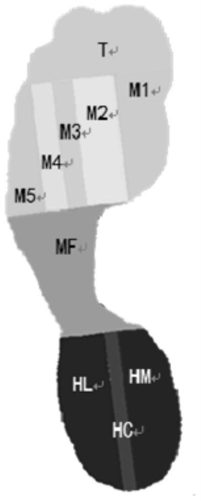 Optimal design method of personalized insole based on mechanical properties of foot tissue in diabetic patients