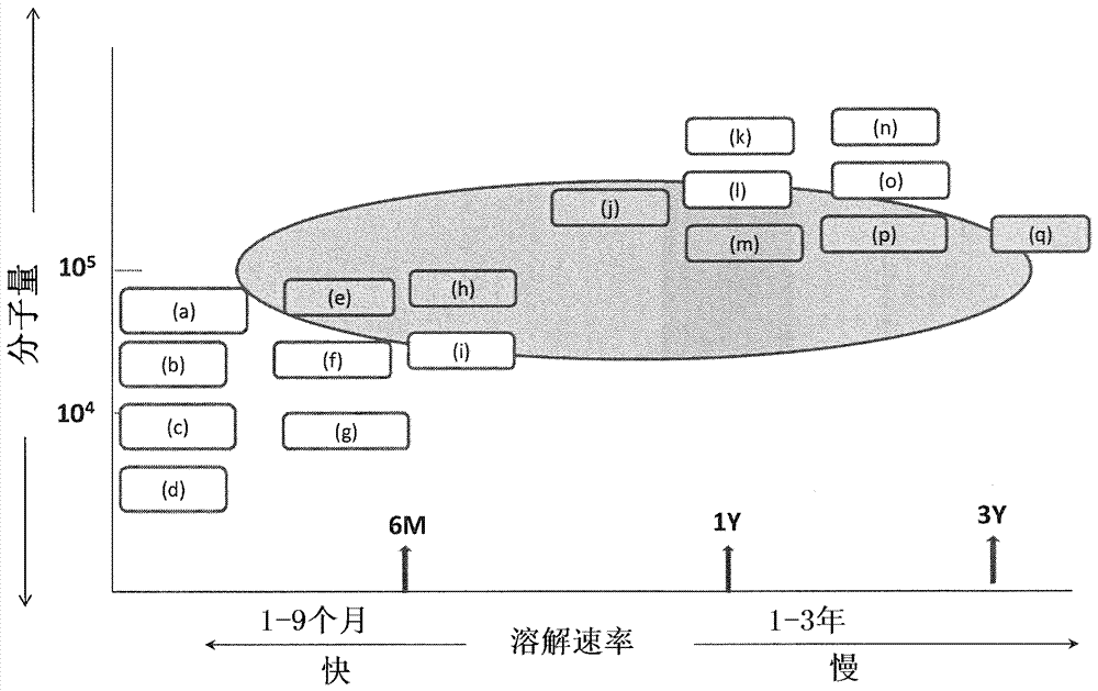 Drug-eluting stent