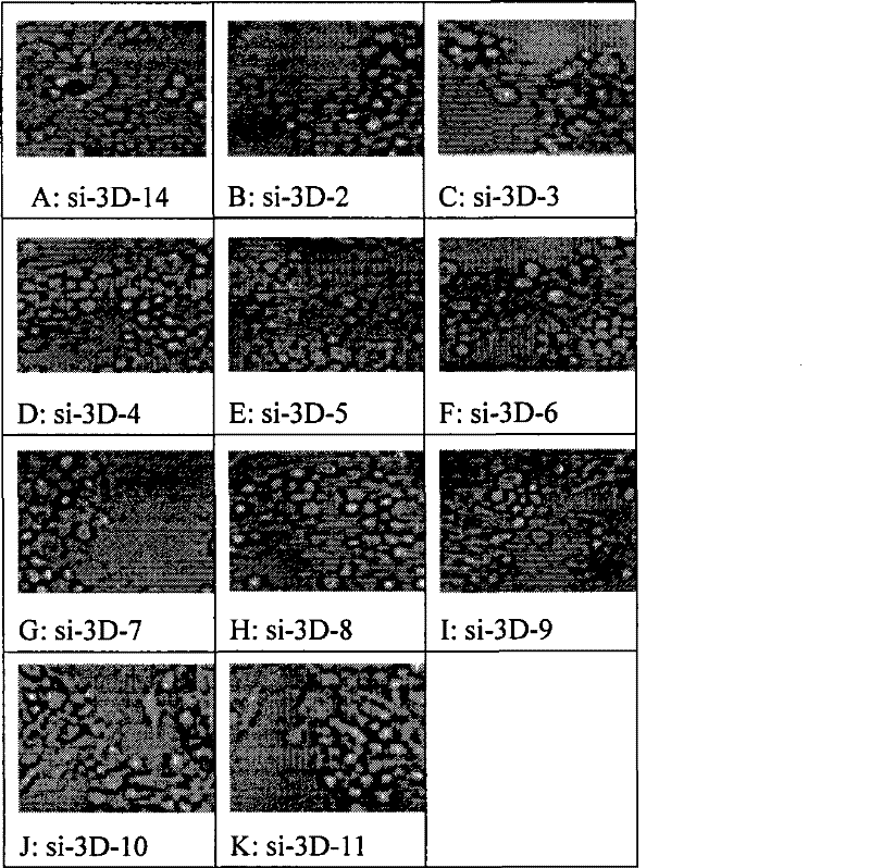 Spray containing small molecule disturbance ribonucleic acid