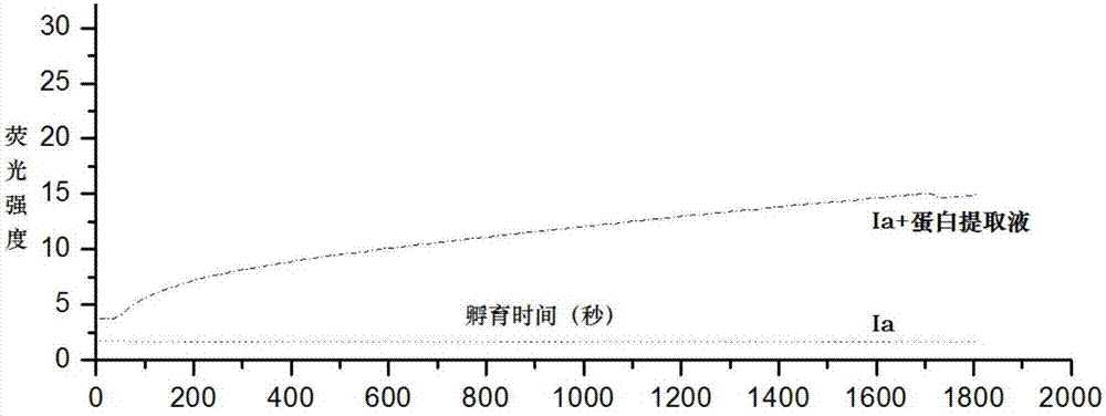 Fluorescent probe for detecting activity of proline isomerase and preparation method and application thereof