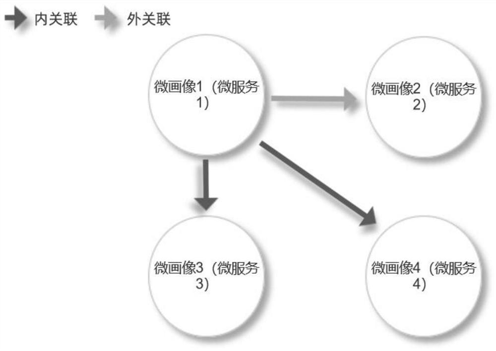 Micro portrait or micro service and application assembling method and system thereof