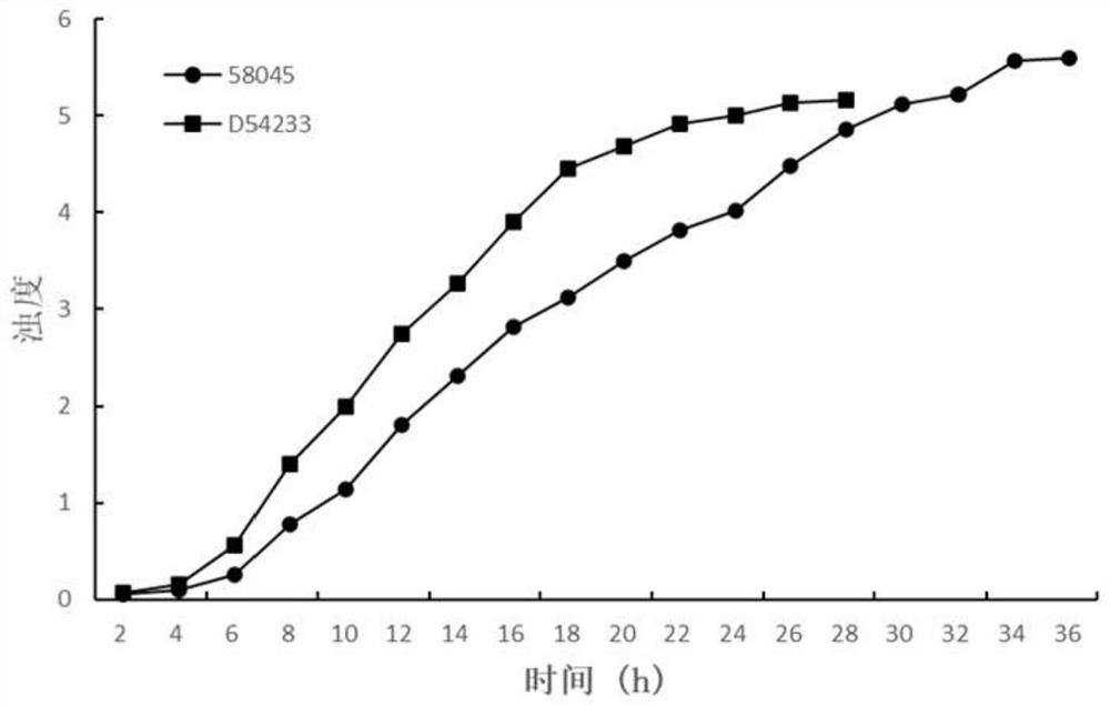 Method for promoting spore production of monascus through co-culture of saccharomycetes and monascus