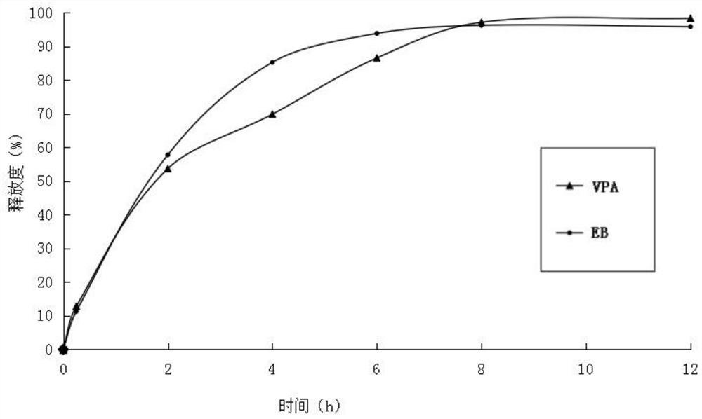 A nerve cell protective agent and its application in the prevention and treatment of epilepsy