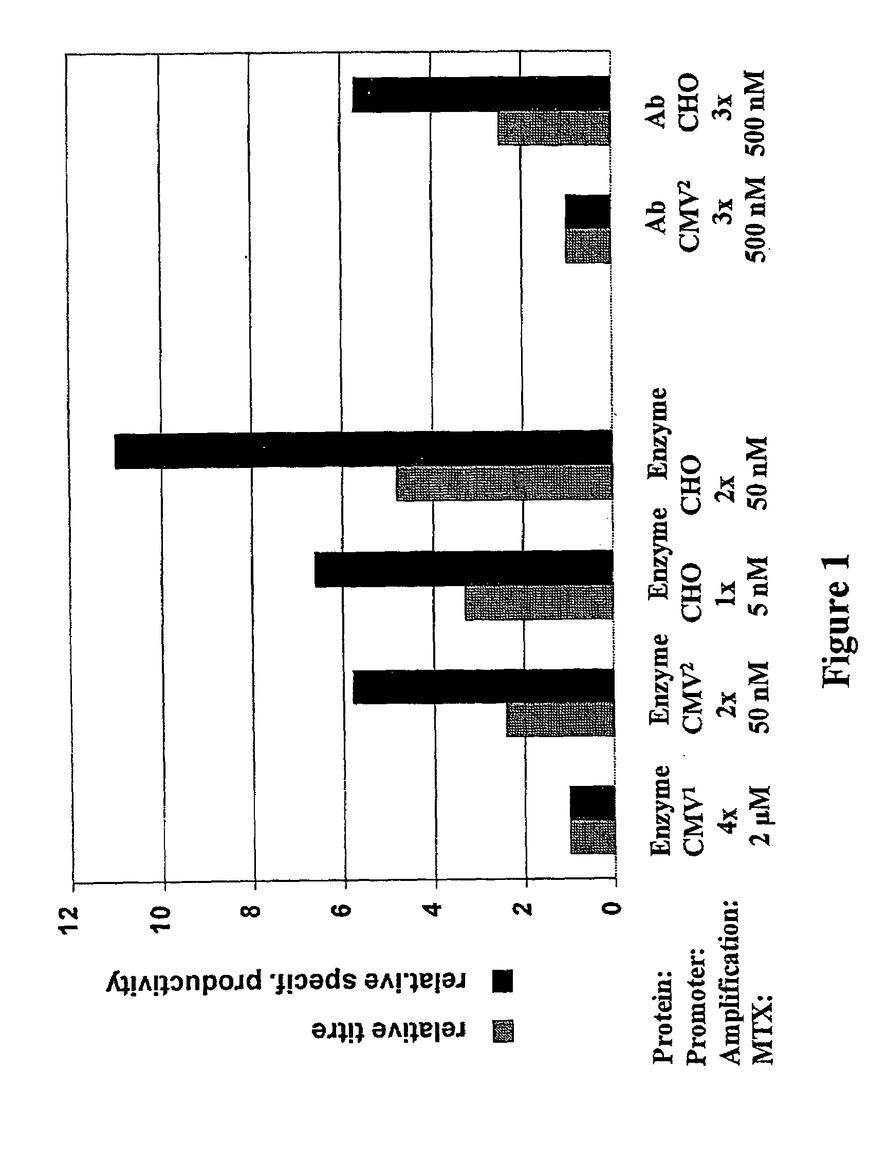 Expression vector, methods for the production of heterologous gene products and for the selection of recombinant cells producing high levels of such products