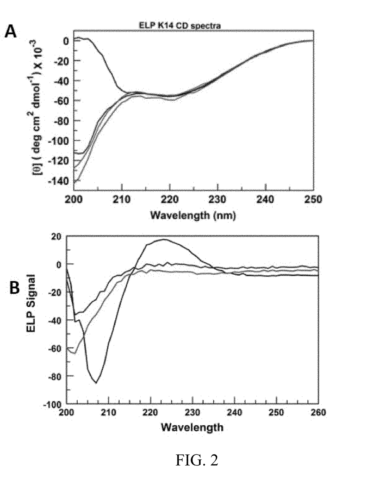 Peptide-based materials