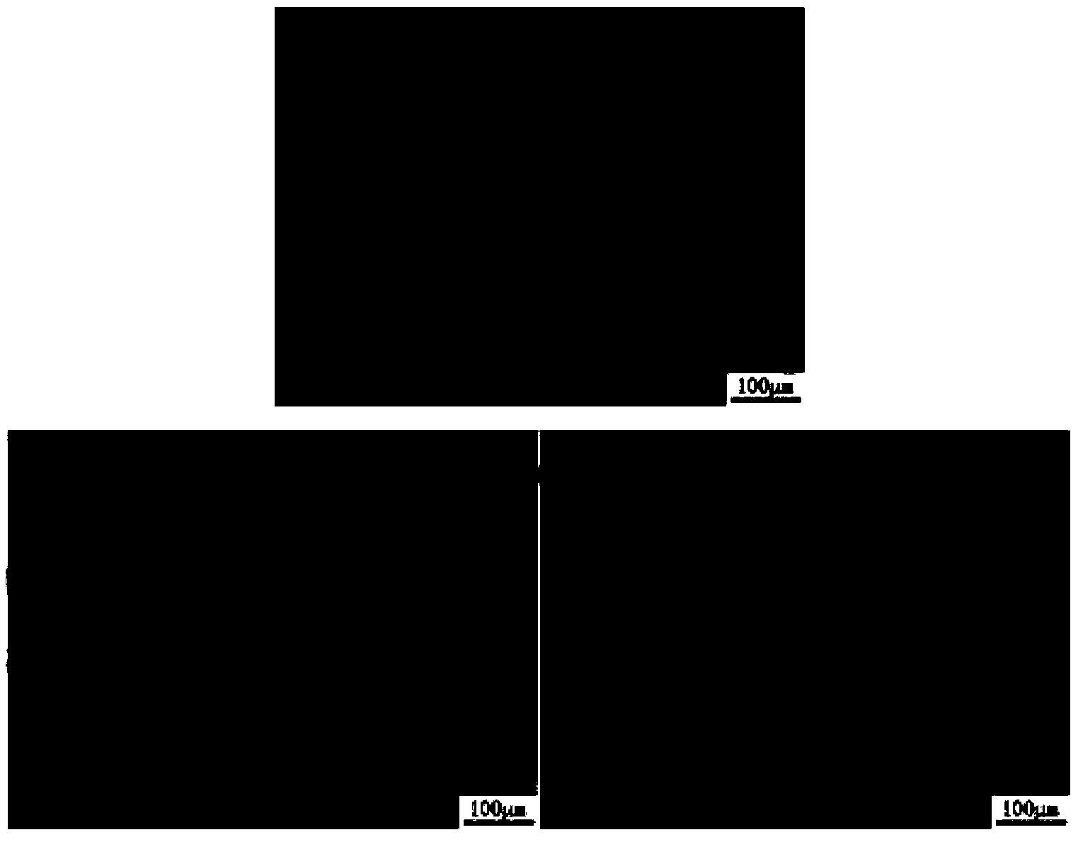 Method for displaying and detecting void type defects in Czochralski silicon wafer