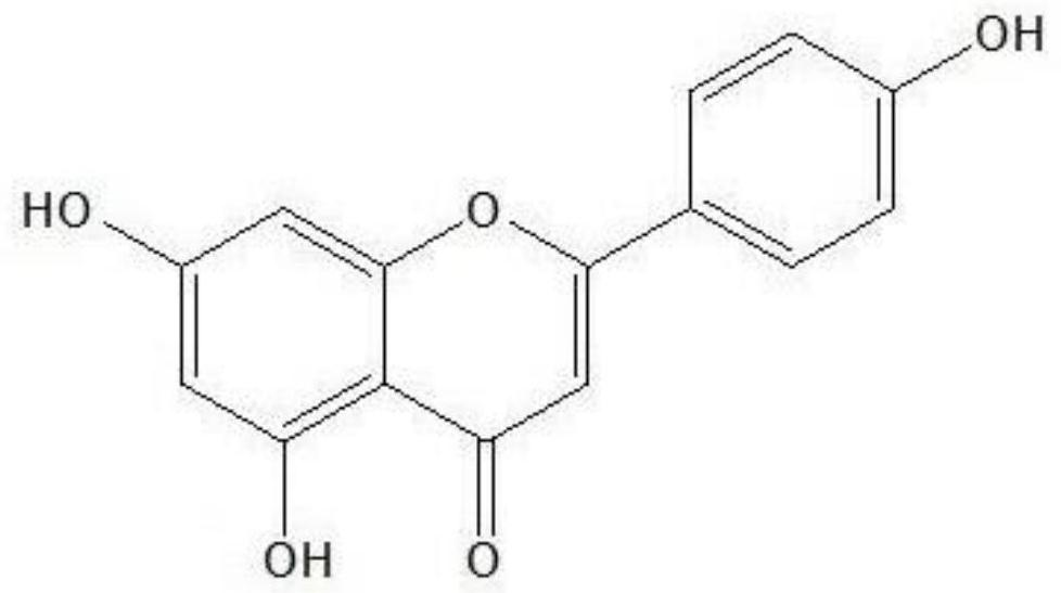 Effect of apigenin in preparation of medicine for promoting survival of ischemic random flap