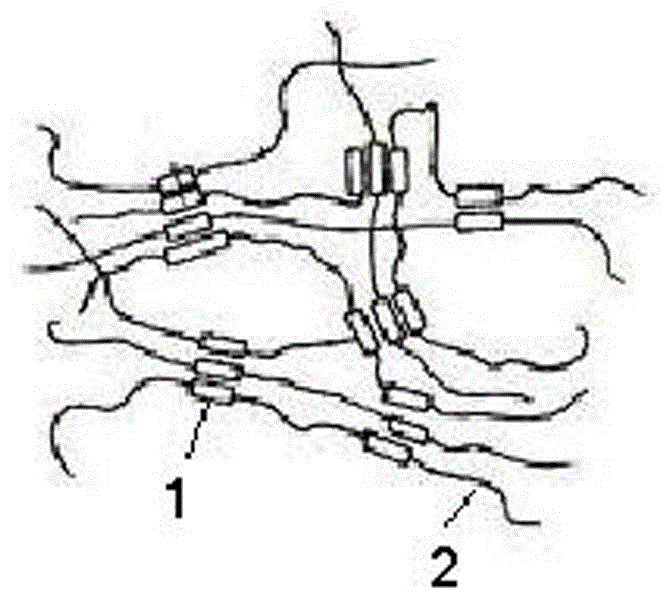 Tung oil polyol based anionic polyurethane with post-crosslinking capacity and preparation method of anionic polyurethane