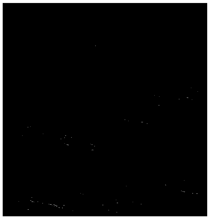 Seismic data reconstruction method based on spatial constrained compressed sensing