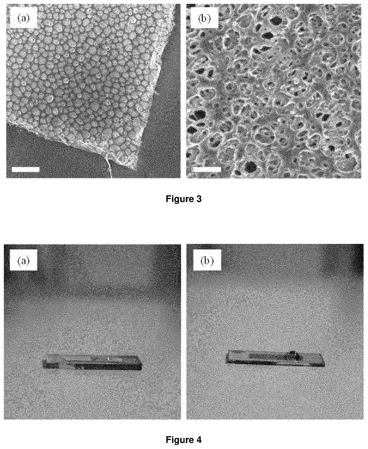 Biosensor with porous wicking layer