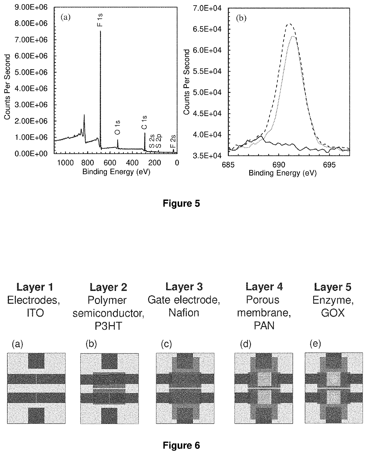 Biosensor with porous wicking layer