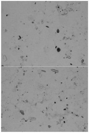 Application of silicon planting body in distinguishing cigarette quality