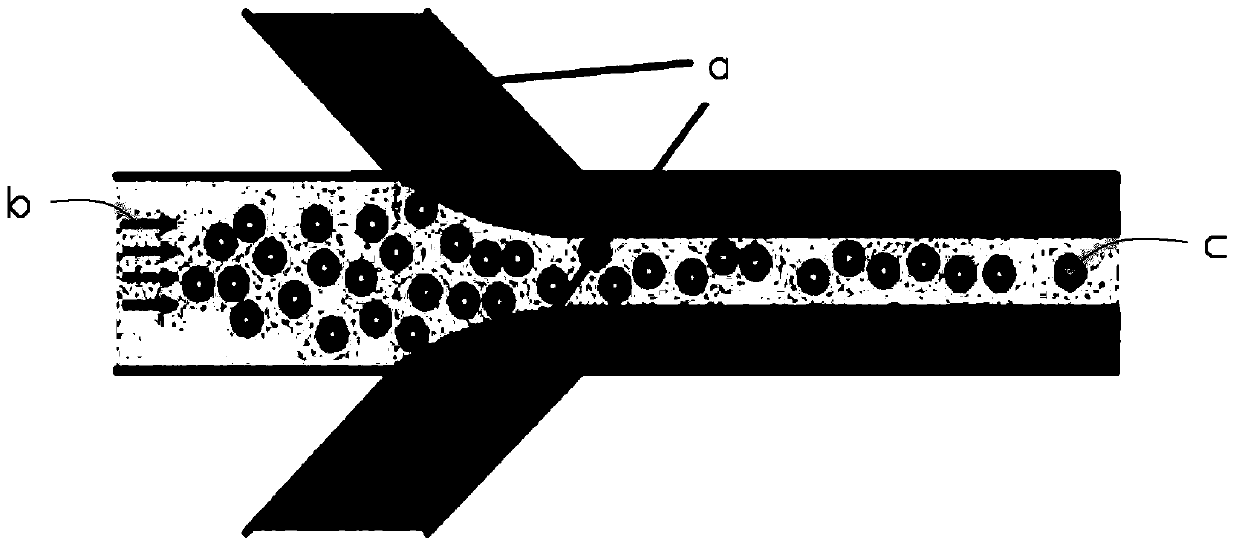 Microfluidic chip, analysis device and analysis method based on microfluidic chip