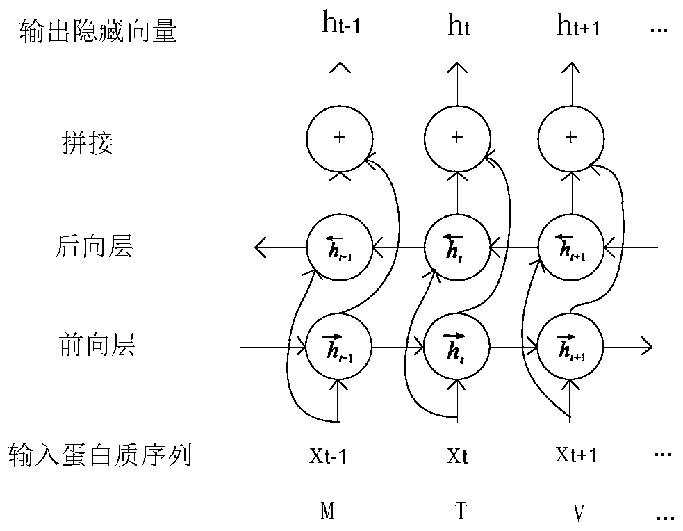 Drug target affinity prediction method based on deep learning