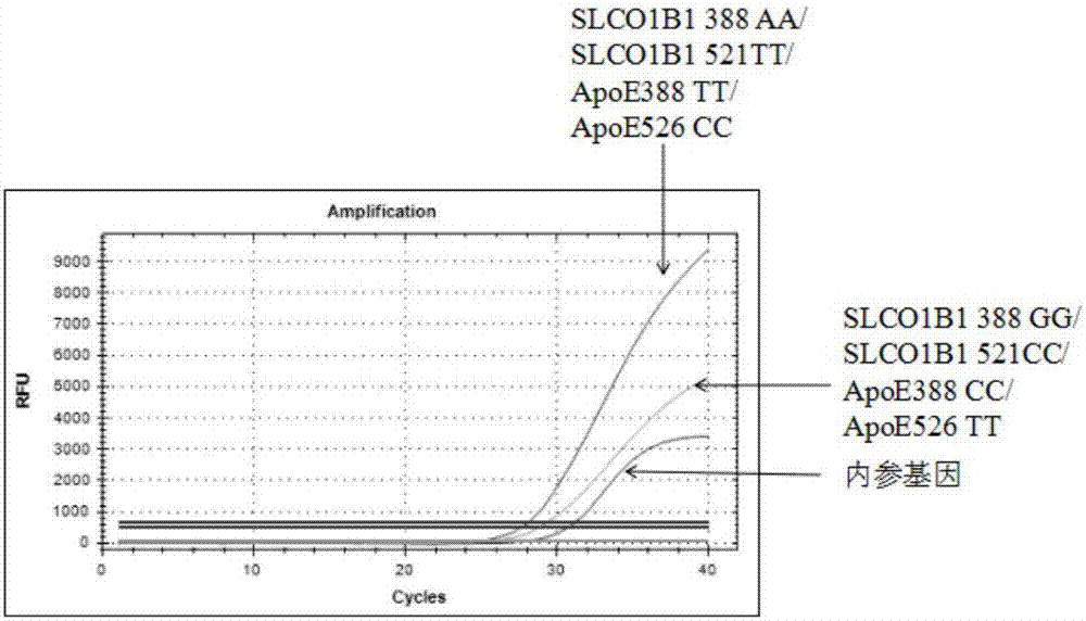 Composition for detecting gene polymorphism of SLCO1B1 and ApoE as well as application thereof