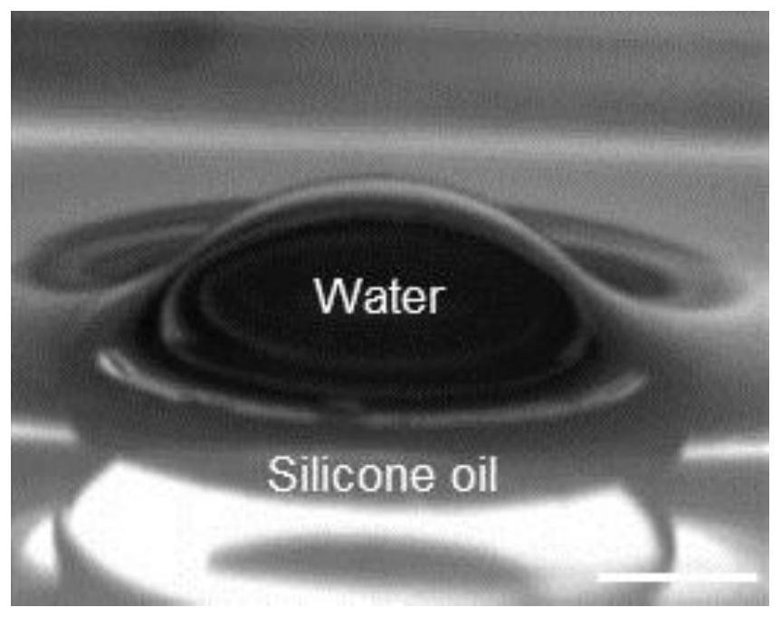 Method for inducing reverse Malangoni flow based on photo-thermal and method for delivering drug cluster cells