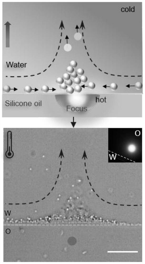 Method for inducing reverse Malangoni flow based on photo-thermal and method for delivering drug cluster cells