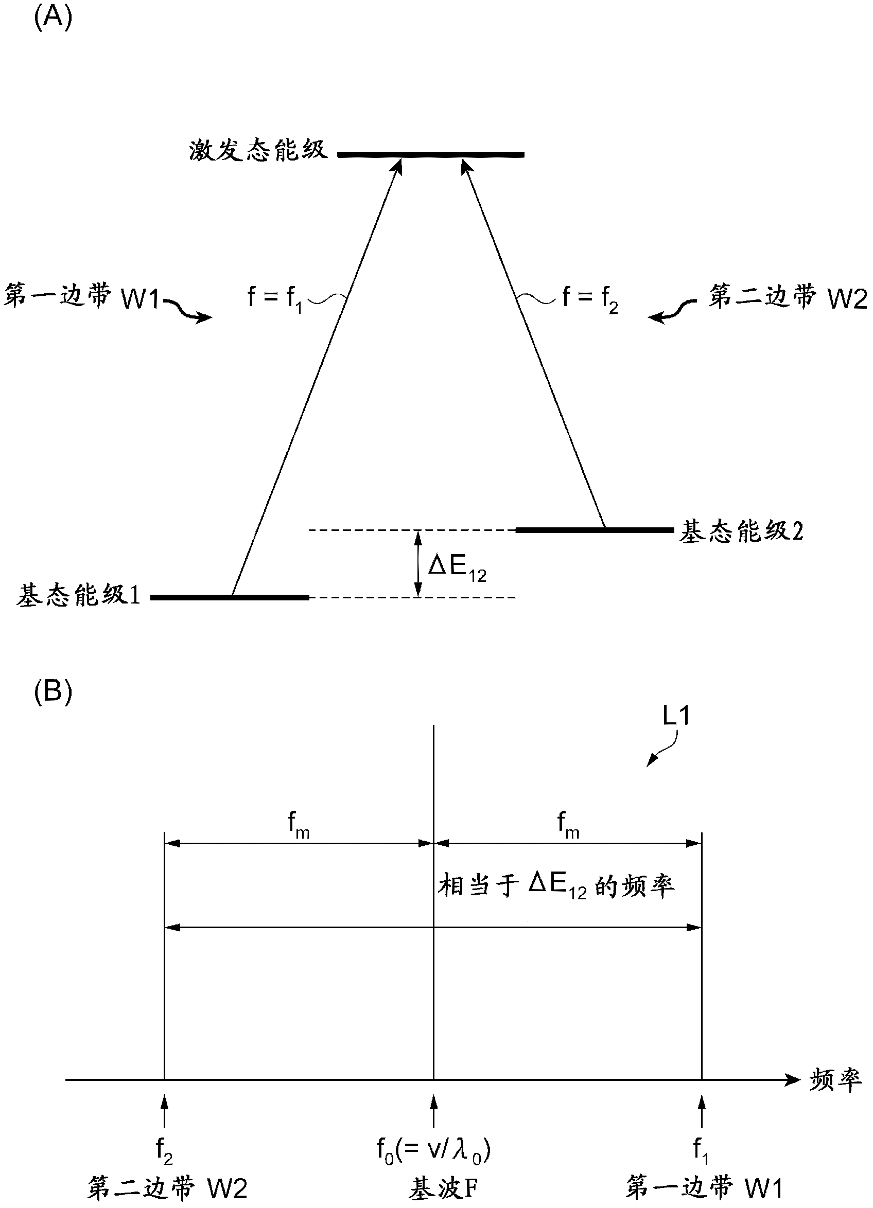 Optical module for atomic oscillator and atomic oscillator