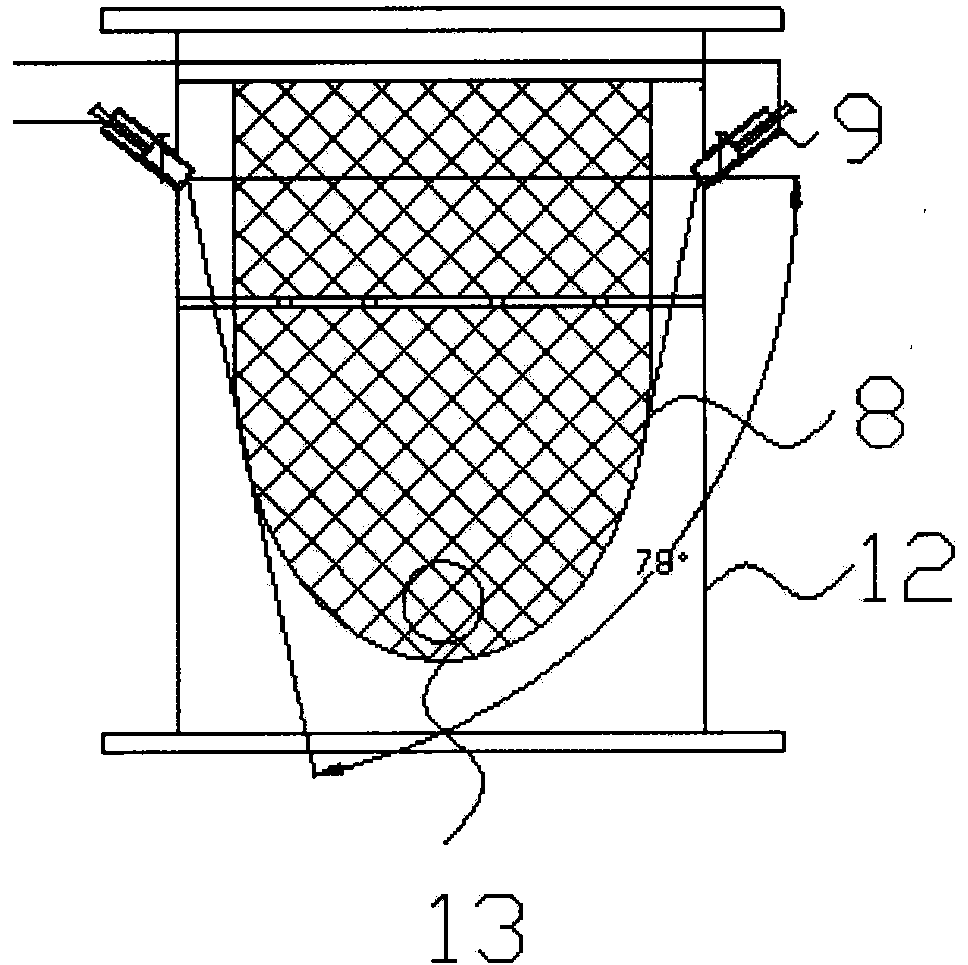 Visual rubber ball cleaning device