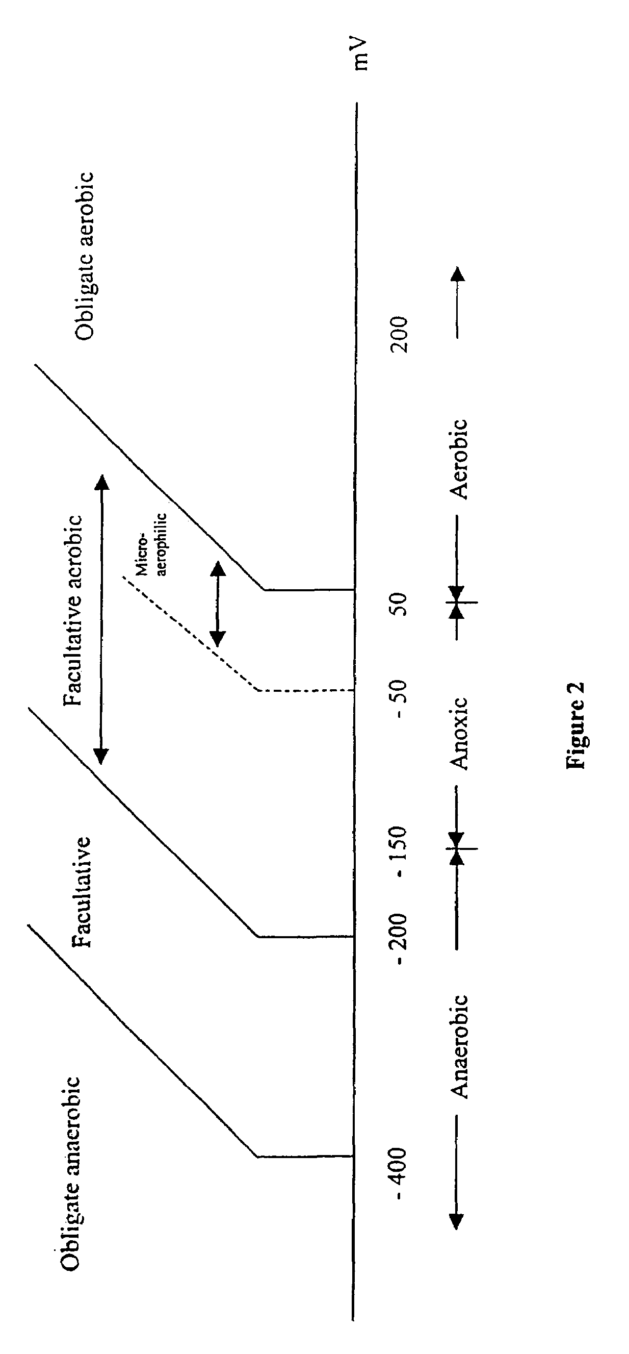 Apparatus and methods for control of waste treatment processes