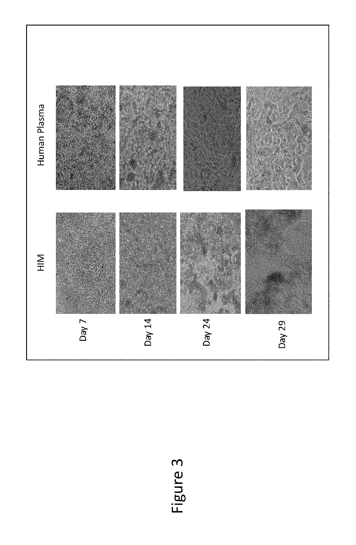 Novel cell culture method, cell culture system and uses thereof